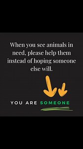 Wild Animals Australia on Reels