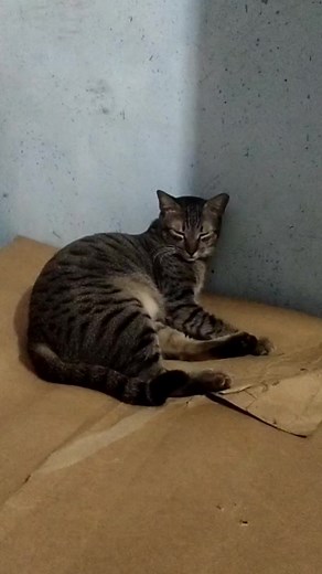 LAB U 💜💜💜 | Bai Ebrahim