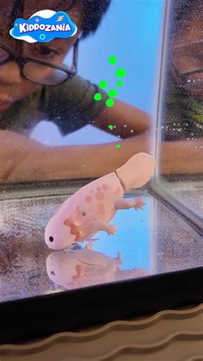 Zuru Robo Axolotl Water Play Toy for Kids | Swimming Robot Pet