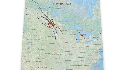 Fall mallard migration is well underway, with many birds making significant movements during the early-November cold spell. As temperatures have since moderated across much of the flyway, most individuals appear to be holding steady in regional stopover or staging areas. Each path represents an individual mallard equipped with a GPS transmitter. Most of these birds were originally marked last November, though several are now completing their second or even third fall migration since tagging—prov