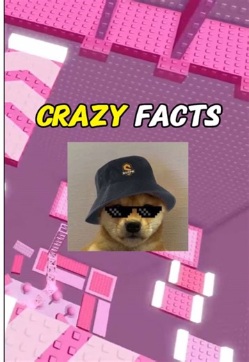 Why You Should Encourage Friends to Shower