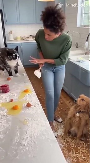 Crime: Kitchen Destruction 🍽️💥