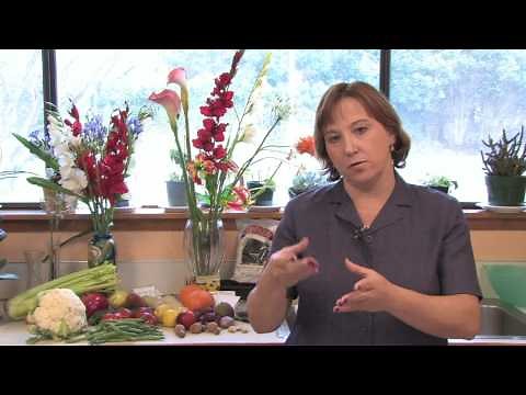 Gardening Lessons : How to Harvest & Store Beets