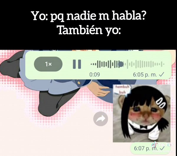 Confusión y Humor en Skibidi y Gacha Life