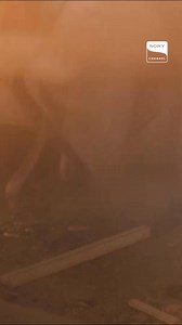 Sony Channel on Reels