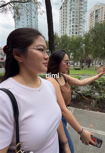 Understanding the Meaning of DIML