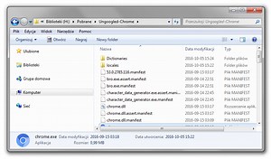Google Chrome Exe Download