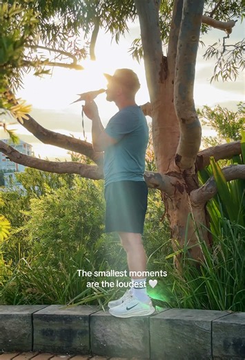 Bird Training Tips for Pet Owners