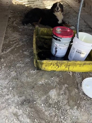 #coaltheberner #twcmechanical #whoisrussell #fatmaninasweatsuit #heavywrenching #snapon #fyp #johndeerewrenching #socketjockey #caterpillarwrenching🔧 #oakley