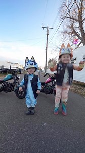 Happy Heelerween from Bluey & Bingo 🤘🏻🩷💙🎃 | Motofotodad