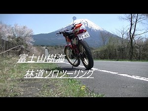 富士山樹海林道ソロラーツー
