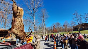 Changes coming to Pennsylvania's elk license lottery as lawmaker seeks more transparency