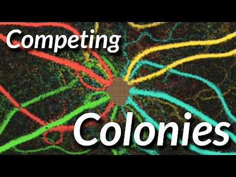 Ant Simulator 2 - Multiple Colonies