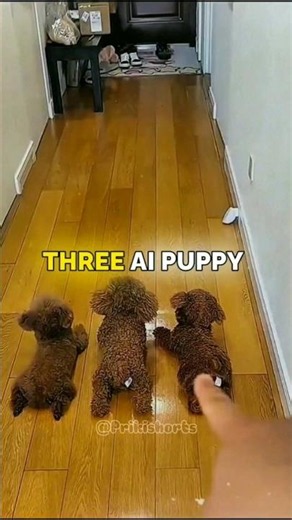 AI Robot Puppy Looks Just Like a Real Dog! 😳🐶🤖