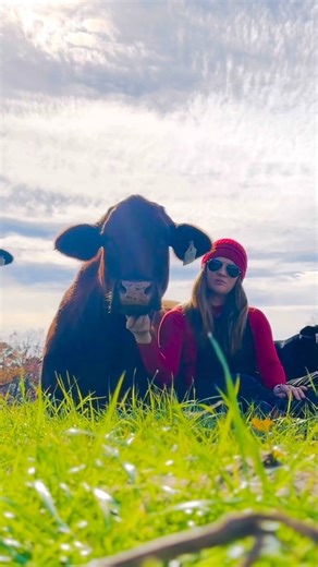 "While there hasn't been a ton of peer-reviewed research into cow hugging directly, there is evidence backing up the idea of animal-assisted therapy because it can help lower tension, ease sadness and depression, and lower your heartbeat. My kind of therapy for sure." Jenny on the Farm, IG - Chicken farmer turned mushroom farm and sanctuary. Be a friend to animals. Be vegan. 🤍🐮🤍 | Animal Save Movement