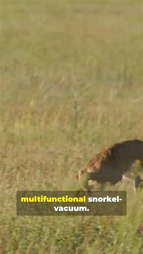 This Animal’s Nose Looks Fake… But It’s Genius: SHOCKING!!! #tiktok
