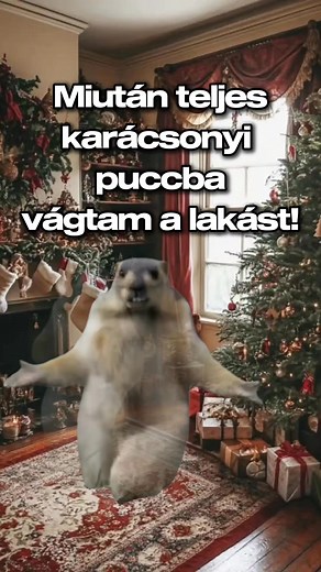 787K views · 10K reactions | Csodaszép! 殺 #christmasfmhu #karacsony #christmas  Gyere bulizz velünk egy 100%-ig karácsonyi bulin!❤ https://party.christmasfm.hu | Christmas FM - Karácsonyi Rádió | Facebook