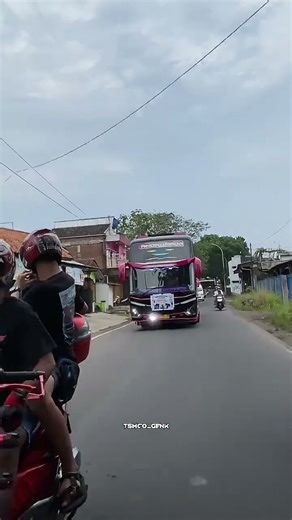 Andromeda #busmania #basuri #bus