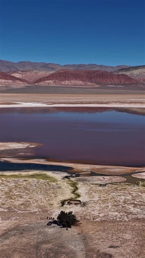 Gavo | Storyteller on Instagram: "🎬 Laguna Carachi Pampa 🧐 Catamarca, una provincia de otro planeta? 🌏 Laguna Carachi Pampa. Sabias que…? ✔️ Se ubica en Antofagasta de la Sierra, dentro del altiplano puneño. ✔️ Esta rodeada por extensos campos de lava y arena negra volcánica. ✔️ El paisaje rige por el volcán Carachi Pampa, de origen basáltico. ✔️ Es una zona de gran valor geológico por sus coladas de lava recientes y contrastes de color. ✔️ Es hábitat de flamencos, aves altoandinas y fauna tí