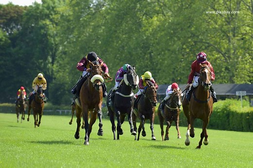 Longest Travellers - Todays Runners   Winning Strategy