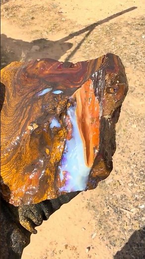 Interesting Opalized Wood!! #thecometopalmine