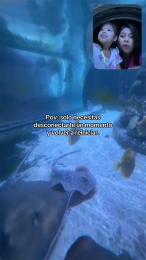 Desconectarte un momento y reiniciar: cómo despejarte rápido
