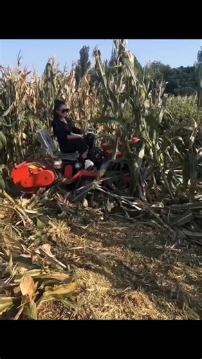 Tiny Machine, Big Harvest Power😊Amazing tractor invented to make cutting of woods easier, so Innovative.😄Waaaoooh!😊Very ideal for small scale farmers.Magadang Idea to Introducing the plowing machine - a mini plow designed for small-scale farmers! This efficient tool is perfect for cultivating small plots of land with ease. 👋🏻Say goodbye to manual labor and hello to streamlined agricultural practices. Enhance your farming experience and boost productivity with this innovative machine. Whethe