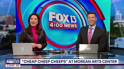 'Cheap Cheep Cheeps' at Morean Arts Center