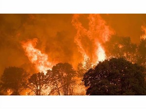 Current CA Fires: 5,000 Firefighters Battling 11 Major Blazes In Golden State [MAP, STATS]