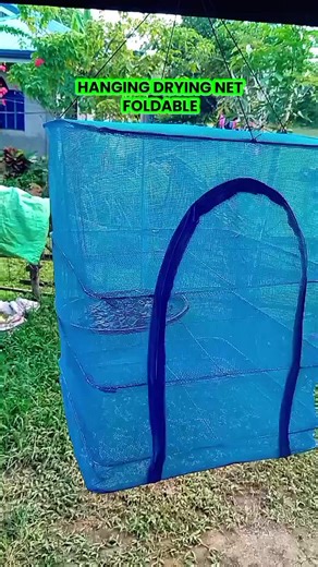 Discover the Benefits of Food Drying Nets