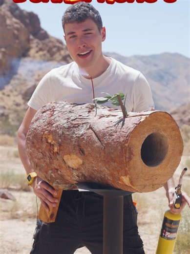 I built Donkey Kong's Coconut Launcher #science #engineering #nintendo #donkeykong