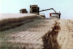 1970s Good Shots Farming Agriculture America Stock Footage Video (100% Royalty-free) 4172008 | Shutterstock
