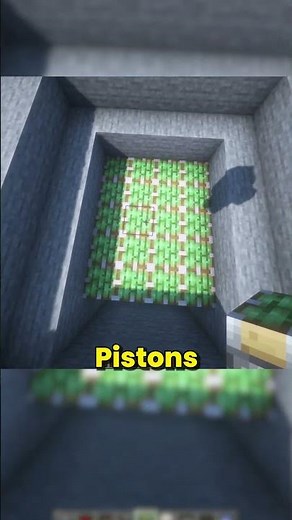 AUTOMATISCHER POOL in Minecraft