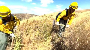 Officer Candidate Zully Garcia, a California National Guard member, shares her experience training to become a Type 1 Wildland Firefighter and her motivation for joining Task Force Rattlesnake. Joint Task Force Rattlesnake’s mission is to work alongside CAL FIRE to help mitigate and prevent wildland fires. | The National Guard