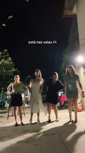 Este vídeo cheira a sardinhas, caldo verde e cerveja e eu amo isso 🇵🇹🫶🏼@Beatriz @elsasilva4.es @Joana Reis #portugal #rancho #romaria