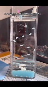 Nhìn chill chill ☁️✨ | Simpson