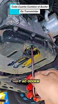 When to Change Your Transmission Fluid 🚗🔧