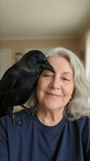 Finding Comfort in a Crow's Morning Visits