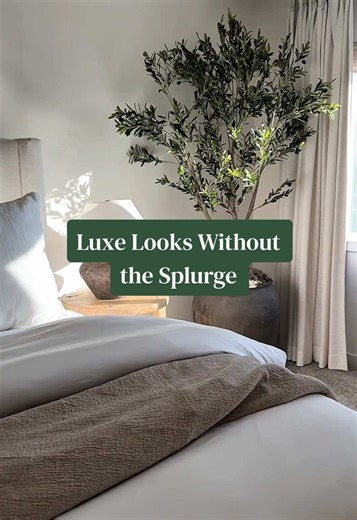 Chic Home Decor Ideas with Olive Trees and Linen Curtains