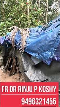 A 13-year-old girlA girl whose mother has passed away A girl abandoned by her father