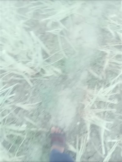 💞SAIM💞 (@st.machine.saim)’s videos with original sound - Prime Sami