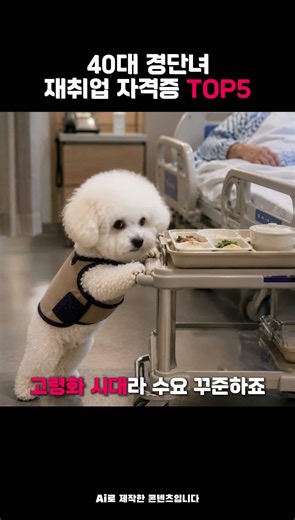 40대 경단녀 재취업 자격증 TOP5 #경단녀 #재취업 #유망자격증
