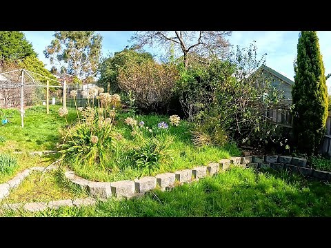 Crazy Garden Restoration | This Homeowner Really Needed Some Help