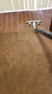 cleaning a room | Alex Carpet Cleaning