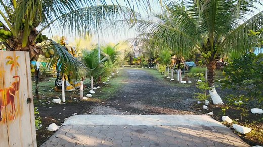 Finca La Estrella en Masagua, Escuintla! Tu refugio de lujo en la costa guatemalteca. Descubre el paraíso y haz que tus sueños de escape se hagan realidad en nuestro resort y Airbnb. 🌴🌟” #FincaLaEstrella #Escuintla #ParaísoCostaGuatemalteca #LujoYNaturaleza #ResortDeEnsueño #AirbnbExclusivo #Masagua #RelaxEnElCaribe #DescubreGuatemala #EscapePerfecto #ExperienciasÚnicas #fypシ #viajes #502comeup
