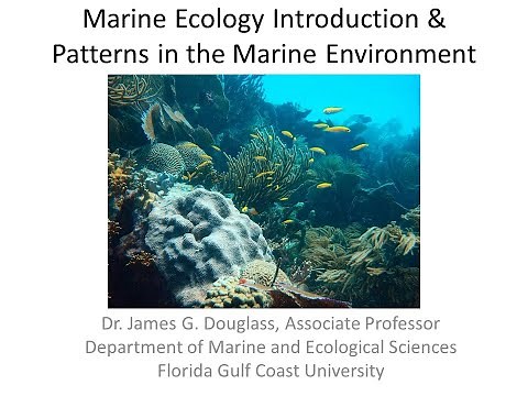 Marine Ecology Intro and Patterns in the Marine Environment
