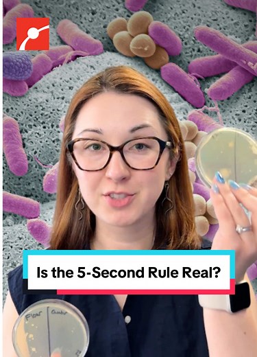 Testing the Five Second Rule: Do Microbes Win?