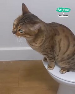 What a pro at pooping! 💩 | Furry Tails