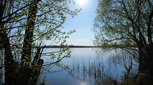 Natural Background. Lake Landscape In Sunny Spring Day. High quality video 4k 4:2:2 10bit. video background and nature sounds