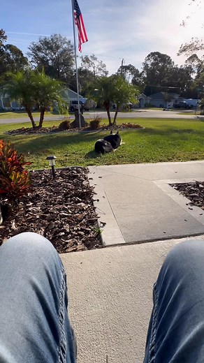 Tim Webster on Reels